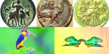 ಶಿವಮೊಗ್ಗ | ಕರ್ನಾಟಕ ಸಂಘದಲ್ಲಿ ನಾಳೆ-ನಾಡಿದ್ದು ಛಾಯಾಚಿತ್ರ-ನಾಣ್ಯ ಪ್ರದರ್ಶನ