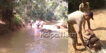 ತೀರ್ಥಹಳ್ಳಿ | ನದಿಯಲ್ಲಿ ಪ್ರಜ್ಞಾಹೀನ ಸ್ಥಿತಿಯಲ್ಲಿ ತೇಲುತ್ತಿದ್ದ ವ್ಯಕ್ತಿಯ ರಕ್ಷಿಸಿದ ಪೊಲೀಸರು