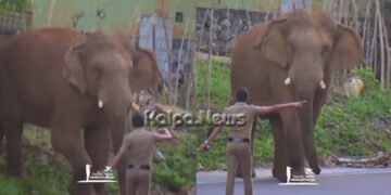 ಅಚ್ಚರಿ! ಪೊಲೀಸ್ ಅಧಿಕಾರಿ ಮಾತು ಕೇಳಿ ತಾಳ್ಮೆಯಿಂದ ರಸ್ತೆ ದಾಟಿದ ಆನೆ