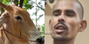 ಬೆಂಗಳೂರು | ಹಸುಗಳ ಕೆಚ್ಚಲು ಕೊಯ್ದ ಪ್ರಕರಣ | ಆರೋಪಿ ಶೇಕ್ ನಸ್ರು ಅಂದರ್ | ಇವನೇ ನೋಡಿ ಆ ಕ್ರೂರಿ