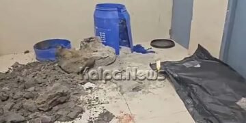 ಪತಿಯನ್ನು ಹತ್ಯೆಗೈದ ಪತ್ನಿ | ದೇಹವನ್ನು ತುಂಡರಿಸಿ ಡ್ರಮ್ ನಲ್ಲಿ ಹಾಕಿ ಸಿಮೆಂಟ್‌ನಿಂದ ಸೀಲ್!