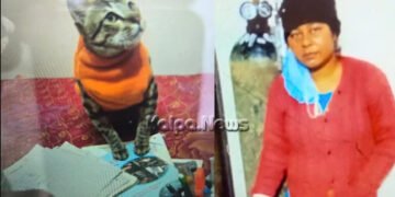 ಮುದ್ದಿನ ಬೆಕ್ಕು ಸಾವು | 2 ದಿನ ಮೃತದೇಹ ಜೊತೆ ಕಳೆದು 3ನೇ ದಿನ ತಾನೂ ಆತ್ಮಹತ್ಯೆ ಮಾಡಿಕೊಂಡ ಮಹಿಳೆ