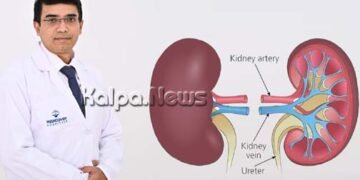 Successful Second Kidney Transplant Gives New Life to 38-Year-Old Bengaluru Woman