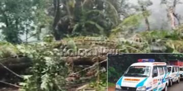 ಆಗುಂಬೆ ಘಾಟಿಯಲ್ಲಿ ಮರ ಬಿದ್ದು ಟ್ರಾಫಿಕ್ ಜಾಮ್ | ಆಂಬುಲೆನ್ಸ್’ಗಳಿಗೂ ತೊಂದರೆ