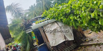 ಪುಷ್ಯ ಮಳೆಯ ಅಬ್ಬರ | ಮನೆ ಹಾಗೂ ಕೊಟ್ಟಿಗೆ ಮೇಲೆ ಮರ ಬಿದ್ದು ಹಾನಿ!