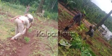 ಶರಾವತಿ ಸಂತ್ರಸ್ತರ ಬೆಳೆ ತೆರವು | ರೈತರ ಆಕ್ರೋಶ