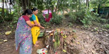 ಸೊರಬ | ತಾಲೂಕಿನಾದ್ಯಂತ ಸಂಭ್ರಮದ ನಾಗರ ಪಂಚಮಿ ಆಚರಣೆ