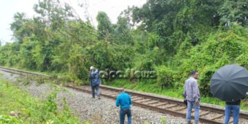 ಭದ್ರಾವತಿ | ರೈಲ್ವೆ ಹಳಿ ಮೇಲೆ ಬಿದ್ದ ಮರ | ತಡವಾಗಿ ಚಲಿಸಿದ ಯಶವಂತಪುರ – ಶಿವಮೊಗ್ಗ ರೈಲು