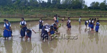 ಶಿವಮೊಗ್ಗ | ಶಾಲಾ ಮಕ್ಕಳಿಗೆ ಭತ್ತದ ನಾಟಿ ಪಾಠ | ಗದ್ದೆಯಲ್ಲಿ ಸಂಭ್ರಮಿಸಿದ ಮಕ್ಕಳು