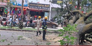 ಶಿವಮೊಗ್ಗ | ಲಕ್ಷ್ಮೀ ಟಾಕೀಸ್ ಬಳಿ ಧರೆಗುರುಳಿದ ಬೃಹತ್ ಮರ | ತಪ್ಪಿದ ಅನಾಹುತ