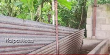 ಭದ್ರಾವತಿ | ಸರಣಿ ಗೋವು ಕಳ್ಳತನ | ಕ್ರಮಕ್ಕೆ ಆಗ್ರಹ