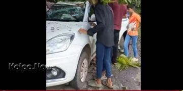 ರಿಪ್ಪನ್‌ಪೇಟೆ | ಕಾರಿನ ಮೇಲೆ ಉರುಳಿ ಬಿದ್ದ ಮರ | ನಾಲ್ವರಿಗೆ ಗಾಯ