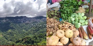 ಮಿಜೋರಾಂ | ಬೈರಾಬಿ-ಸೈರಾಂಗ್ ನೂತನ ರೈಲು ಮಾರ್ಗದ ಪ್ರಯೋಜನಗಳೇನು?