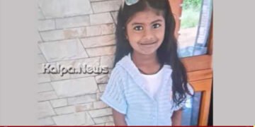 ಪುತ್ತೂರು | ಹೆಜ್ಜೇನು ದಾಳಿ | ಏಳು ವರ್ಷದ ಬಾಲಕಿ ಮೃತ | ಇನ್ನೋರ್ವ ವಿದ್ಯಾರ್ಥಿ ಗಂಭೀರ