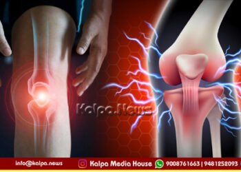 Don’t Let Winter Stiffen Your Life: How to Protect Your Joints in Cold Weather