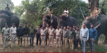 ಸೊರಬ | ಐದು ದಿನಗಳಿಂದ ಆತಂಕ ಮೂಡಿಸಿದ್ದ 2 ಆನೆಗಳು ಪತ್ತೆ | ಪತ್ತೆಗೆ ಬಳಸಿದ ಅತ್ಯಾಧುನಿಕ ತಂತ್ರಜ್ಞಾನ ಯಾವುದು?