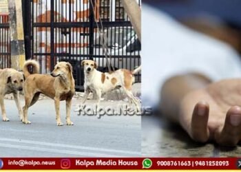 ಬೀದಿನಾಯಿ ಕಚ್ಚಿ ಗಂಭೀರ ಗಾಯಗೊಂಡಿದ್ದ ಬಾಲಕಿ ಸಾವು