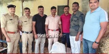 ಹುಲ್ಲಿನ ಬಣವೆಯಲ್ಲಿ ಸಿಕ್ತು 8 ಕೆಜಿ 60 ಗ್ರಾಂ ಗಾಂಜಾ!