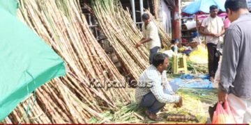 ಶಿವಮೊಗ್ಗ | ಸಂಕ್ರಾಂತಿ ಆಚರಣೆಗೆ ಭರದ ಸಿದ್ಧತೆ | ಮಾರುಕಟ್ಟೆಯಲ್ಲಿ ಜನಜಂಗುಳಿ