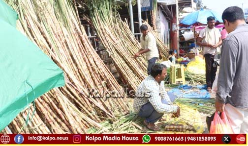 ಶಿವಮೊಗ್ಗ | ಸಂಕ್ರಾಂತಿ ಆಚರಣೆಗೆ ಭರದ ಸಿದ್ಧತೆ | ಮಾರುಕಟ್ಟೆಯಲ್ಲಿ ಜನಜಂಗುಳಿ