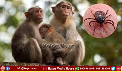 ಶಿವಮೊಗ್ಗ | ಕೋಣಂದೂರಿನ ಇಬ್ಬರಲ್ಲಿ ಕೆ.ಎಫ್.ಡಿ. ಸೋಂಕು ಪತ್ತೆ