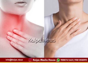 ಬೇಸಿಗೆಯಲ್ಲಿ ಗಂಟಲು ಒಣಗುತ್ತಿದೆಯೇ? ಧ್ವನಿ ಗರಗರಿಸುತ್ತಿದೆಯೇ? ಹಾಗಾದರೆ ಹೀಗೆ ಮಾಡಿ | ತಜ್ಞರ ಸಲಹೆ