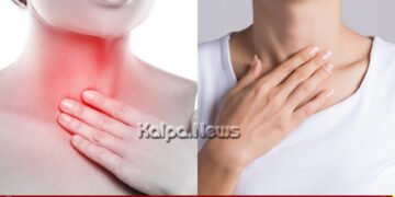 ಬೇಸಿಗೆಯಲ್ಲಿ ಗಂಟಲು ಒಣಗುತ್ತಿದೆಯೇ? ಧ್ವನಿ ಗರಗರಿಸುತ್ತಿದೆಯೇ? ಹಾಗಾದರೆ ಹೀಗೆ ಮಾಡಿ | ತಜ್ಞರ ಸಲಹೆ