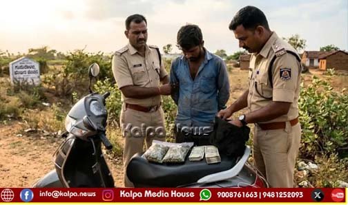 ಅಕ್ರಮ ಗಾಂಜಾ ಮಾರಾಟ | ಓರ್ವನ ಬಂಧನ