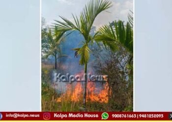 ತೀರ್ಥಹಳ್ಳಿ | ತೋಟದಲ್ಲಿ ಬೆಂಕಿ: ಅಡಿಕೆ ಸಸಿ, ಕೃಷಿ ಪರಿಕರಗಳು ಅಗ್ನಿಗಾಹುತಿ