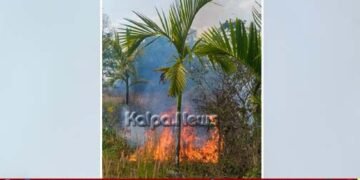 ತೀರ್ಥಹಳ್ಳಿ | ತೋಟದಲ್ಲಿ ಬೆಂಕಿ: ಅಡಿಕೆ ಸಸಿ, ಕೃಷಿ ಪರಿಕರಗಳು ಅಗ್ನಿಗಾಹುತಿ