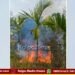 ತೀರ್ಥಹಳ್ಳಿ | ತೋಟದಲ್ಲಿ ಬೆಂಕಿ: ಅಡಿಕೆ ಸಸಿ, ಕೃಷಿ ಪರಿಕರಗಳು ಅಗ್ನಿಗಾಹುತಿ