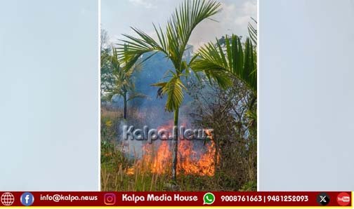 ತೀರ್ಥಹಳ್ಳಿ | ತೋಟದಲ್ಲಿ ಬೆಂಕಿ: ಅಡಿಕೆ ಸಸಿ, ಕೃಷಿ ಪರಿಕರಗಳು ಅಗ್ನಿಗಾಹುತಿ