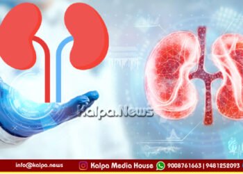 ಮೂತ್ರಪಿಂಡದ ಕಾಯಿಲೆ | ಒಂದು ನಿಶಬ್ದ ಹಂತಕ, ಇದನ್ನು ನೀವು ತಡೆಯಬಹುದು | ಹೇಗೆ?