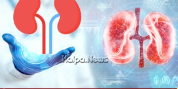ಮೂತ್ರಪಿಂಡದ ಕಾಯಿಲೆ | ಒಂದು ನಿಶಬ್ದ ಹಂತಕ, ಇದನ್ನು ನೀವು ತಡೆಯಬಹುದು | ಹೇಗೆ?