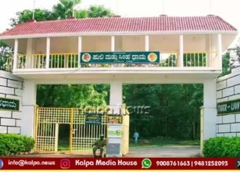 ಸಮೀಕ್ಷಾ ರೆಡ್ಡಿ ಸಾವಿನ ಪ್ರಕರಣ | ಲಯನ್ ಸಫಾರಿಗೆ ಮೃಗಾಲಯ ಪ್ರಾಧಿಕಾರದ ಅಧ್ಯಕ್ಷರ ಭೇಟಿ