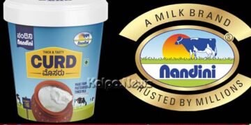 ಶಿಮುಲ್‌ | ಮಾರುಕಟ್ಟೆಗೆ ಎಂಟ್ರಿ ಕೊಟ್ಟ 1 ಕೆ.ಜಿ ಬಕೆಟ್ ಮೊಸರು