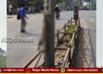 ಅಮಾನವೀಯ ಕೃತ್ಯ | ಸತ್ತ ಬೆಕ್ಕನ್ನು ಲೈಟ್ ಕಂಬಕ್ಕೆ ತಲೆಕೆಳಗಾಗಿ ನೇತು ಹಾಕಿದ ಕಿಡಿಗೇಡಿ