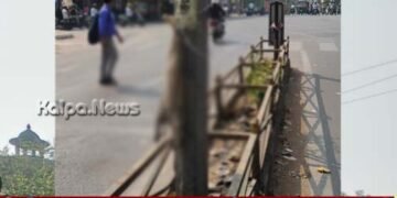 ಅಮಾನವೀಯ ಕೃತ್ಯ | ಸತ್ತ ಬೆಕ್ಕನ್ನು ಲೈಟ್ ಕಂಬಕ್ಕೆ ತಲೆಕೆಳಗಾಗಿ ನೇತು ಹಾಕಿದ ಕಿಡಿಗೇಡಿ