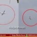 ಪುತ್ತೂರಿನ ಆಗಸದ ಕೆಳ ಎತ್ತರದಲ್ಲಿ ಹಾರಾಡಿದ ಸಣ್ಣ ವಿಮಾನ | ಭಯ ಪಡುವ ಅಗತ್ಯವಿಲ್ಲ