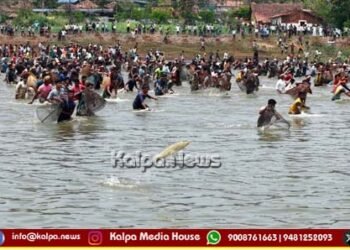 ಸೊರಬ | ಕುಪ್ಪಗಡ್ಡೆ ದೊಡ್ಡ ಕೆರೆಯಲ್ಲಿ ಭರ್ಜರಿ ಮೀನು ಬೇಟೆ