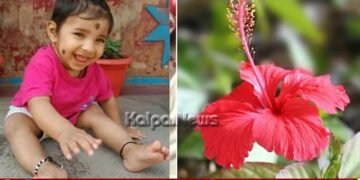 ದಾಸವಾಳ ನುಂಗಿ ಆರು ತಿಂಗಳ ಮಗು ಸಾವು