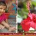 ದಾಸವಾಳ ನುಂಗಿ ಆರು ತಿಂಗಳ ಮಗು ಸಾವು