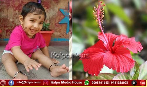 ದಾಸವಾಳ ನುಂಗಿ ಆರು ತಿಂಗಳ ಮಗು ಸಾವು