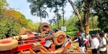 ಅಡಿಕೆ ಸಸಿ ಸಾಗಿಸುತ್ತಿದ್ದ ಲಾರಿ ಪಲ್ಟಿ: ತಪ್ಪಿದ ಭಾರೀ ಅನಾಹುತ