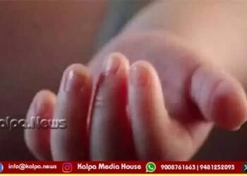 ಸಾಗರ | ಆಟವಾಡುತ್ತಿದ್ದ ಎರಡೂವರೆ ವರ್ಷದ ಮಗುವಿಗೆ ಹಾವು ಕಚ್ಚಿ ಸಾವು