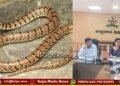 ಶಿವಮೊಗ್ಗ | ಒಂದೇ ವರ್ಷದಲ್ಲಿ ಎಷ್ಟು ಮಂದಿಗೆ ಹಾವು ಕಡಿದಿದೆ? ಸತ್ತವರೆಷ್ಟು? ಯಾವ ತಾಲೂಕಿನಲ್ಲಿ ಹೆಚ್ಚು?