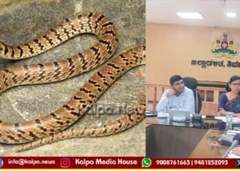 ಶಿವಮೊಗ್ಗ | ಒಂದೇ ವರ್ಷದಲ್ಲಿ ಎಷ್ಟು ಮಂದಿಗೆ ಹಾವು ಕಡಿದಿದೆ? ಸತ್ತವರೆಷ್ಟು? ಯಾವ ತಾಲೂಕಿನಲ್ಲಿ ಹೆಚ್ಚು?