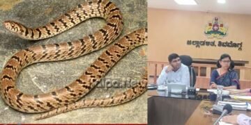 ಶಿವಮೊಗ್ಗ | ಒಂದೇ ವರ್ಷದಲ್ಲಿ ಎಷ್ಟು ಮಂದಿಗೆ ಹಾವು ಕಡಿದಿದೆ? ಸತ್ತವರೆಷ್ಟು? ಯಾವ ತಾಲೂಕಿನಲ್ಲಿ ಹೆಚ್ಚು?