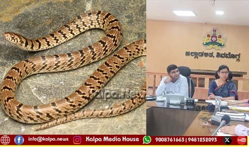 ಶಿವಮೊಗ್ಗ | ಒಂದೇ ವರ್ಷದಲ್ಲಿ ಎಷ್ಟು ಮಂದಿಗೆ ಹಾವು ಕಡಿದಿದೆ? ಸತ್ತವರೆಷ್ಟು? ಯಾವ ತಾಲೂಕಿನಲ್ಲಿ ಹೆಚ್ಚು?