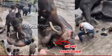 ಕೊಡಗು | ಎಲಿಫೆಂಟ್ ಬಾತಿಂಗ್ ವೇಳೆ ಬಿದ್ದ ಆನೆ ಅಡಿಗೆ ಸಿಲುಕಿ ಮಹಿಳೆ ಸಾವು | ಘಟನೆ ನಡೆದಿದ್ದು ಹೇಗೆ?